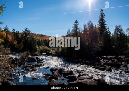 ©Michael Bunel / le Pictorium/MAXPPP - ete indien au canada. Les feuilles des erables, chenes et aulnes tournent au rouge, jaune, orange et ocre a cette periode de l'annee. Val david. Canada. 3 ottobre. 2021. Val David. Canada. Foto Stock