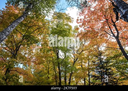 ©Michael Bunel / le Pictorium/MAXPPP - ete indien au canada. Les feuilles des erables, chenes et aulnes tournent au rouge, jaune, orange et ocre a cette periode de l'annee. Val david. Canada. 3 ottobre. 2021. Val David. Canada. Foto Stock