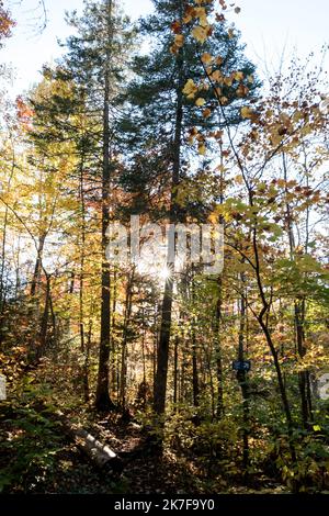 ©Michael Bunel / le Pictorium/MAXPPP - ete indien au canada. Les feuilles des erables, chenes et aulnes tournent au rouge, jaune, orange et ocre a cette periode de l'annee. Val david. Canada. 3 ottobre. 2021. Val David. Canada. Foto Stock