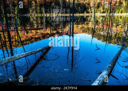 ©Michael Bunel / le Pictorium/MAXPPP - ete indien au canada. Les feuilles des erables, chenes et aulnes tournent au rouge, jaune, orange et ocre a cette periode de l'annee. Val david. Canada. 3 ottobre. 2021. Val David. Canada. Foto Stock