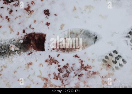 ©PHOTOPQR/LE PARISIEN/Philippe de Poulpiquet ; Kiev ; 01/03/2022 ; Kiev (Ucraina), le 01 Mars 2022. Deux 'aboteurs' qui tentaient de franchir un barrage ont été blessés et capturés sur une route menant à Kiev, dans la commune de Vychgorod, au nord-est de la capitale. Les militaires ukrainiens pris à parti ont riposté et blessé les deux personnes à bord, selon un militaire ukrainien présent sur place ce matin. Les deux hommes ont été remis aux Services de renseignement ukrainiens. - Ucraina 1 marzo 2022 le unità di difesa volontarie di Kyiv Foto Stock