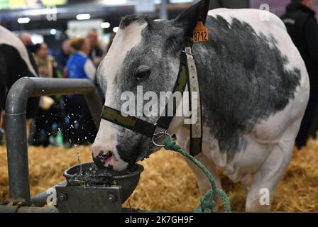 ©PHOTOPQR/VOIX DU NORD/FLORENT MOREAU ; 01/03/2022 ; PAIRS, LE 01.03.2022. Le stand du Nord au Salon de l'Agriculture. FOTO FLORENT MOREAU LA VOIX DU NORD - Salone Internazionale dell'Agricoltura di Parigi Foto Stock