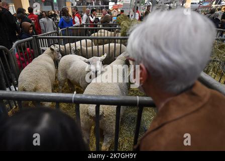 ©PHOTOPQR/VOIX DU NORD/FLORENT MOREAU ; 01/03/2022 ; PAIRS, LE 01.03.2022. Des moutons sur un stand du Nord au Salon de l'Agriculture. FOTO FLORENT MOREAU LA VOIX DU NORD - Salone Internazionale dell'Agricoltura di Parigi Foto Stock