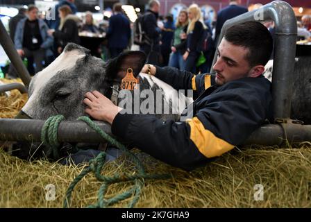 ©PHOTOPQR/VOIX DU NORD/FLORENT MOREAU ; 01/03/2022 ; PAIRS, LE 01.03.2022. Le stand du Nord au Salon de l'Agriculture. FOTO FLORENT MOREAU LA VOIX DU NORD - Salone Internazionale dell'Agricoltura di Parigi Foto Stock