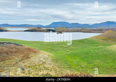 Lago Myvatn, Islanda Foto Stock