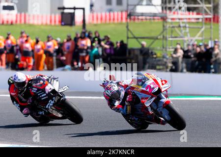 Phillip Island, Australia, 16 ottobre 2022. Enea Bastianini in Italia sul Gresini Racing Ducati durante la gara MotoGP del 2022 al circuito di Phillip Island il 16 ottobre 2022 a Phillip Island, Australia. Credit: Dave Hewison/Speed Media/Alamy Live News Foto Stock