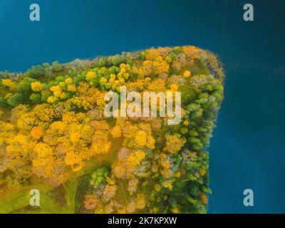 Splendidi alberi a cascata aerei. Vista dall'alto verso il basso sulla foresta decidua autunnale nei colori giallo e arancione. Foto Stock