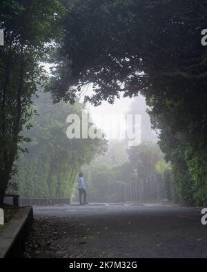 Donna che cammina nella nebbia sul sentiero dei sobborghi incorniciato da alberi. Auckland. Formato verticale. Foto Stock