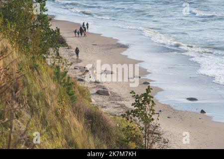 Il Capo dell'olandese, in lituano Olando kepurė, collina o dune paraboliche con pini creati da processi eoliani su una cresta morenica, Mar Baltico Foto Stock