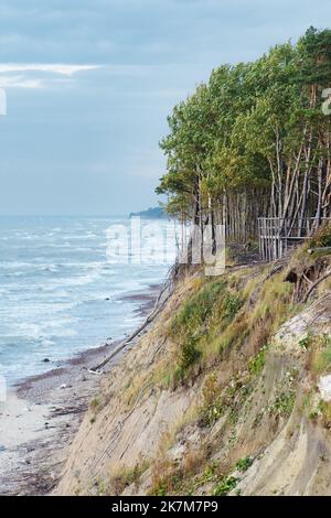 Il Capo dell'olandese, in lituano Olando kepurė, collina o dune paraboliche con pini creati da processi eoliani su una cresta morenica, Mar Baltico Foto Stock