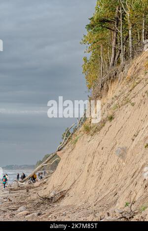 Il Capo dell'olandese, in lituano Olando kepurė, collina o dune paraboliche con pini creati da processi eoliani su una cresta morenica, Mar Baltico Foto Stock