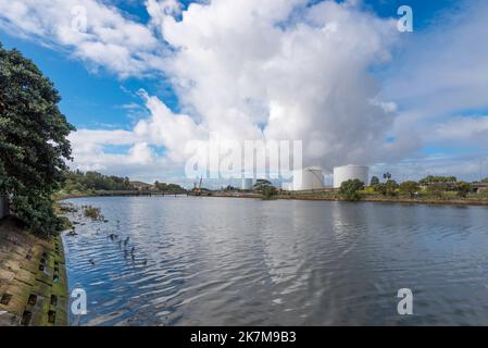 Serbatoi di carburante alla rinfusa al Terminal Cargo dell'Aeroporto di Sydney visto attraverso il canale Alexander dalla Riserva ricreativa Tempe a Sydney, Australia Foto Stock