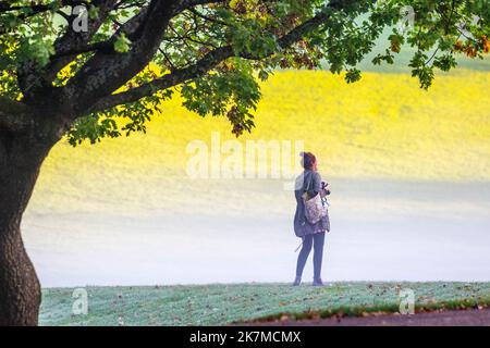 Preston, Lancashire. Meteo UK; 18 Ott 2022. Il sole sorge sopra il fiume Ribble mentre i residenti locali si allenano all'alba lungo Riverside Walk, un freddo inizio di giornata in nebbia. Avenham Park spazio per famiglie, piste ciclabili e sentieri per passeggiate nel nord-ovest dell'Inghilterra. Credit; MediaWorldImages/AlamyLiveNews Foto Stock