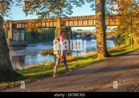 Preston, Lancashire. Meteo UK; 18 Ott 2022. Il sole sorge sopra il fiume Ribble mentre i residenti locali si allenano all'alba lungo Riverside Walk, un freddo inizio di giornata in nebbia. Avenham Park spazio per famiglie, piste ciclabili e sentieri per passeggiate nel nord-ovest dell'Inghilterra. Credit; MediaWorldImages/AlamyLiveNews Foto Stock