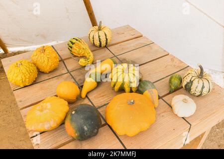 Pannello decorativo pumpkinson. Primo piano, messa a fuoco selettiva. Decorazione di Halloween e del giorno del Ringraziamento per la casa e il concetto di celebrazione Foto Stock