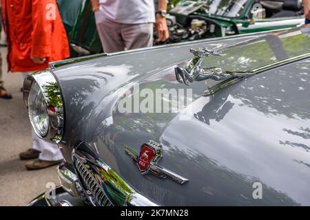 BADEN BADEN BADEN, GERMANIA - LUGLIO 2019: Simbolo del cervo simbolo simbolo simbolo simbolo sul cofano di grigio russo GAZ 22 21 VOLGA 1962 1970 estate universale COMBI famiglia auto Foto Stock