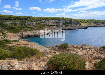 Vista sul Parco Naturale Regionale di Porto Selvaggio con la sua costa frastagliata e le pinete, Puglia, Italia. Foto Stock