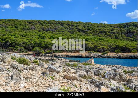 L'aspro paesaggio del Parco Naturale Regionale di Porto Selvaggio con la spiaggia rocciosa di insenatura e pineta, Puglia, Italia. Foto Stock