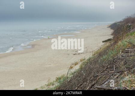 Bel mare grigio ruvido con onde, suggestivo cielo grigio nuvoloso con canne, rami e erba secca tra le dune a fuoco, viaggio e concetto di vacanza Foto Stock