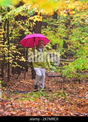 18 ottobre 2022, Brandeburgo, Chorin: Axel Vogel (Bündnis 90/Die Grünen), ministro dell'Agricoltura, dell'ambiente e della protezione del clima del Brandeburgo, cammina sotto un ombrello tra gli alberi di una zona di prova del Landeskompetenzzentrum Forst Eberswalde (LFE) su un sentiero stretto. La conversione forestale con faggi di rame e pini attuata sul terreno di prova è esemplare per la pratica forestale del Brandeburgo. Tra le altre cose, le questioni della regolazione della luce intervenendo nella tettoia del pino, l'influenza della selvaggina quando le recinzioni non sono utilizzate, e la diversificazione attraverso ulteriori mescolati e compa Foto Stock