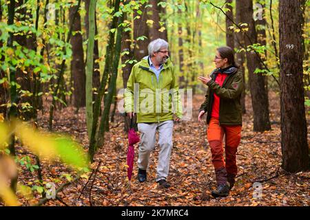 18 ottobre 2022, Brandeburgo, Chorin: Axel Vogel (Bündnis 90/Die Grünen), ministro dell'Agricoltura, dell'ambiente e della protezione del clima del Brandeburgo, e Ulrike Hagemann, capo del centro di competenza statale Forestali Eberswalde (LFE), parlano tra gli alberi di un complotto di prova della LFE su tra gli alberi. La conversione forestale con faggi rossi e pini attuata sul terreno di prova è esemplare per la pratica forestale del Brandeburgo. Tra le altre cose, le questioni della regolazione della luce intervenendo nella tettoia del pino, l'influenza della selvaggina quando le recinzioni non sono utilizzate, e la diversificazione attraverso addi Foto Stock