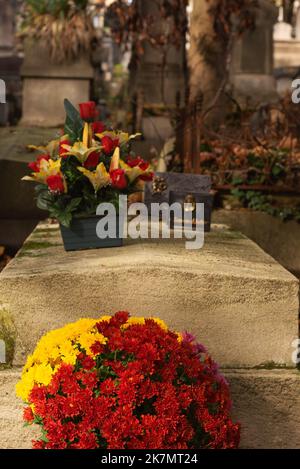 Tutti i Santi giorno nel vecchio cimitero. Tradizionali crisantemi commemorativi fiori messi sulle tombe. Concetto di memoria e di oblio. Lutto autunno Foto Stock