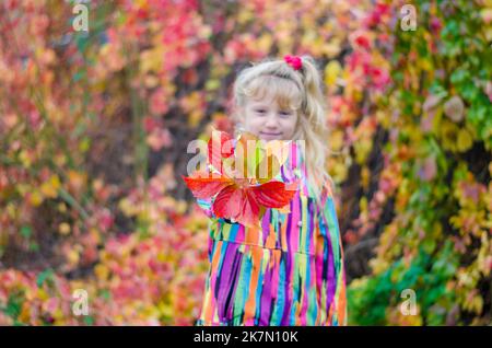 adorabile ragazza bionda in giacca colorata godendo del colore delle foglie autunnali Foto Stock
