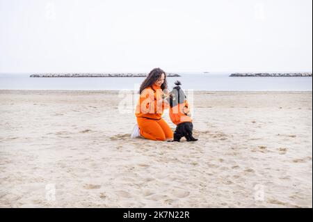 Halloween cane vestito come una zucca sulla spiaggia. Black Cocker Spaniel in abiti festosi gioca con il suo proprietario. Autunno terrapieno e una bella passeggiata. Riprese in 4K di alta qualità Foto Stock