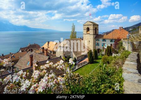 Pittoresco villaggio di Saint-Saphorin sulle rive del Lago di Ginevra nella regione vinicola di Lavaux, in Svizzera Foto Stock