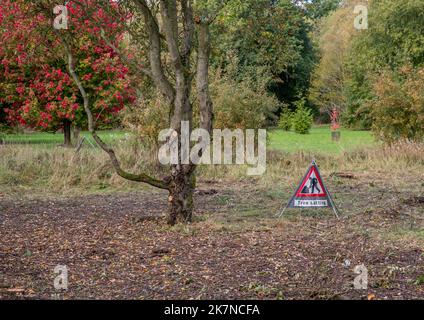 Cartello di taglio dell'albero portatile sul terreno accanto ad un albero appena potato. Foto Stock