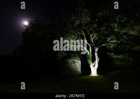 Luna piena e Giove sopra la colombaia medievale al Vecchio Vicarage, Tintagel, Cornovaglia, Regno Unito Foto Stock