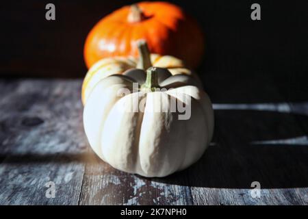 Disposizione di zucche e varietà di zucca in una fila alla luce del sole brillante su superficie di legno Foto Stock