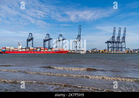 Feliistowe Suffolk UK Febbraio 1st 2022 Container Port dall'ingresso opposto che mostra le navi container e le gru a portale per la movimentazione dei container Foto Stock