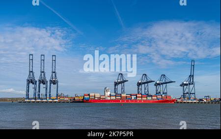 Feliistowe Suffolk UK Febbraio 1st 2022 Container Port dall'ingresso opposto che mostra le navi container e le gru a portale per la movimentazione dei container Foto Stock