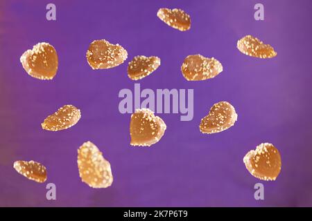 cioccolato biscotti cuori levitazione su sfondo viola. Raccolta di biscotti volanti gustosi Foto Stock