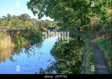 Due uomini pedalano lungo l'alzaia del canale di Montgomery in un luminoso sole d'autunno. Foto Stock