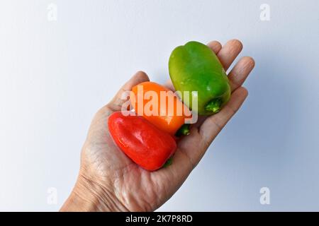 Mini peperoni a campana a portata di mano su uno sfondo luminoso Foto Stock