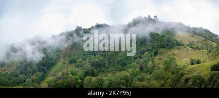 Verdi montagne piene di alberi e vegetazione tra la nebbia che scende dal cielo Foto Stock