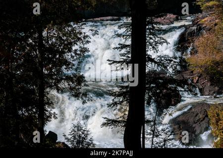 Vista della cascata Plaisance attraverso uno schermo di pini; una maestosa cascata con una goccia significativa. Foto Stock