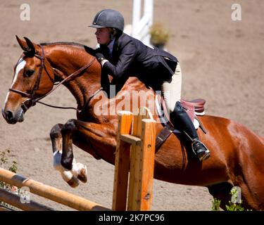 Spettacolo equestre jumper pratica presso la zona fieristica della contea di Jefferson il 7th agosto 2009. Foto Stock