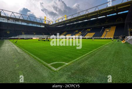 Vista sul campo con attrezzature per la cura dell'erba al Signal Iduna Arena - il parco giochi ufficiale del FC Borussia Dortmund, Germania Foto Stock