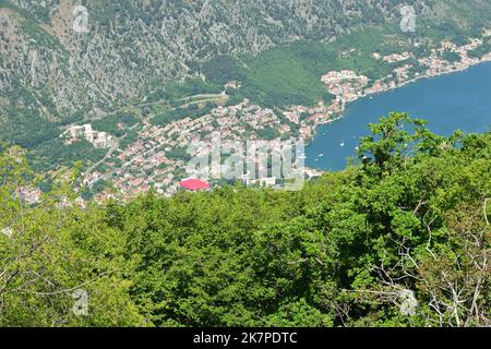 Città di Cattaro vista dall'alto. Vista estiva. Montengro Foto Stock
