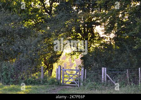 Paesaggi di campagna nei primi mesi dell'autunno vicino Westerham, Kent, vicino a Chartwell, casa di Winston Churchill sul Greensand Ridge, nel Weald, passeggiate popolari Foto Stock