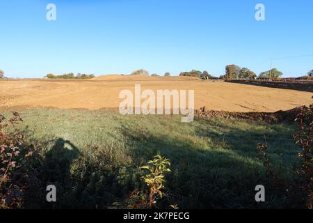 Foto del sito di costruzione della rete ferroviaria ad alta velocità HS2. Northamptonshire. Inghilterra. Foto Stock