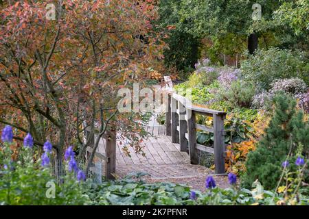 Colori autunnali nel Giardino Robinson a RHS Hyde Hall, vicino a Chelmsford, Essex UK. Foto Stock