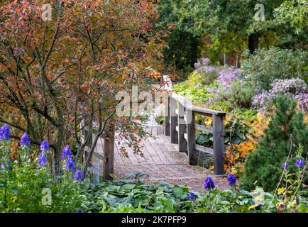 Colori autunnali nel Giardino Robinson a RHS Hyde Hall, vicino a Chelmsford, Essex UK. Foto Stock