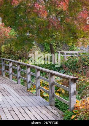 Colori autunnali nel Giardino Robinson a RHS Hyde Hall, vicino a Chelmsford, Essex UK. Foto Stock