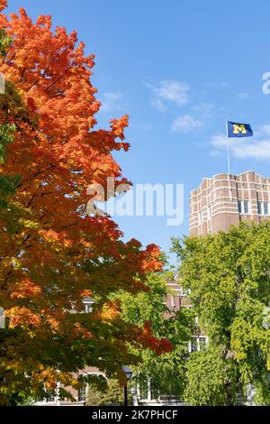 La bandiera dell'Università del Michigan sorvola l'Unione studentesca con i colori autunnali in primo piano Foto Stock