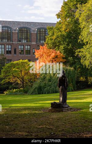 Lone brillante albero di arancio in un cortile presso l'Università del Michigan Foto Stock