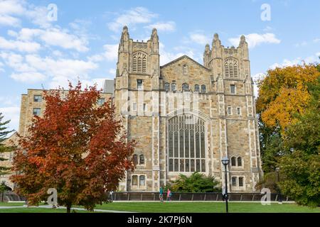 Università del Michigan Law School in autunno Foto Stock